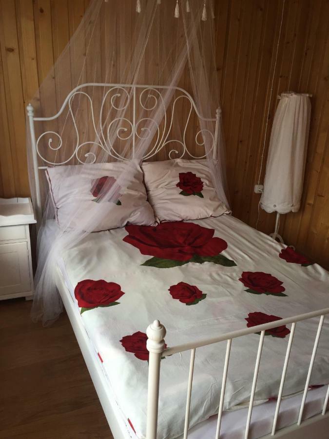 Pokoje U Eli Apartamento Brzegi  Exterior foto